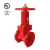 OS&Y GATE VALVES